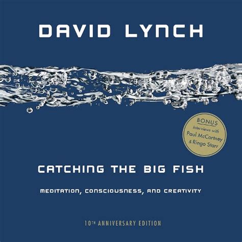 catching the big fish|Catching the Big Fish: Meditation, Consciousness, and Creativity: .
